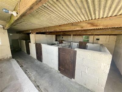 Picture 28